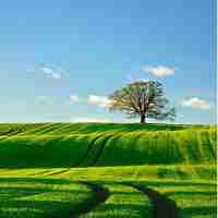 高​性‍能﻿服‌务‌器‍配‍置‍